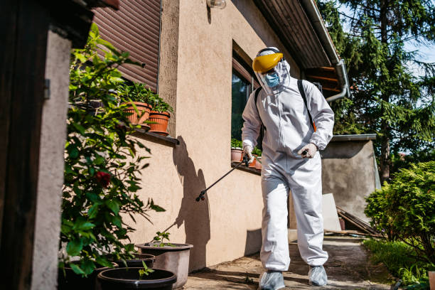 Best Best Pest Control Companies  in Englewood, FL