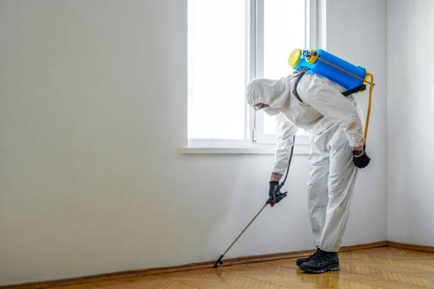 Best Flea Control Services  in Englewood, FL