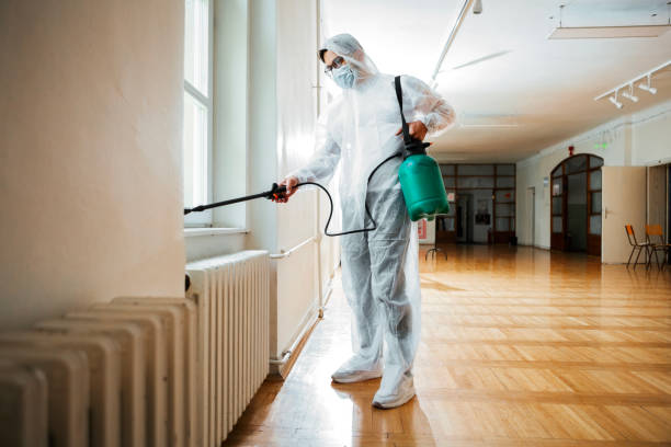 Best Termite Control Services  in Englewood, FL